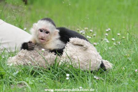 Mally 26062013 081