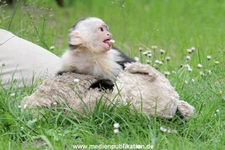 Mally 26062013 084