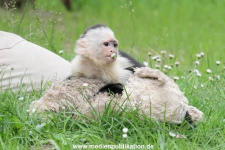 Mally 26062013 085