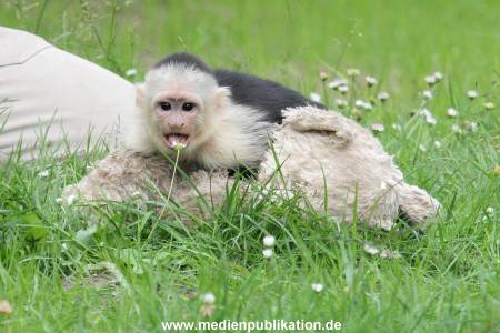 Mally 26062013 089