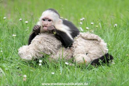 Mally 26062013 092