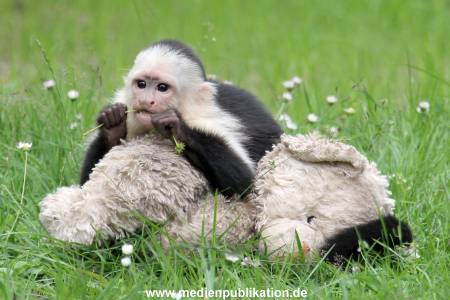 Mally 26062013 098