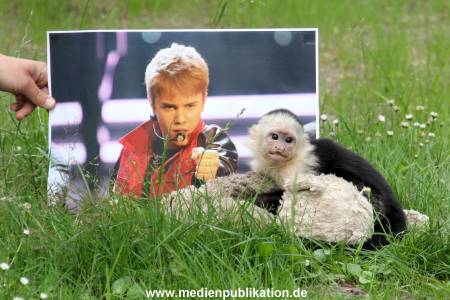 Mally 26062013 103