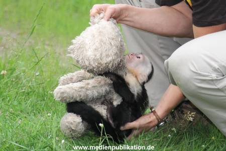 Mally 26062013 119