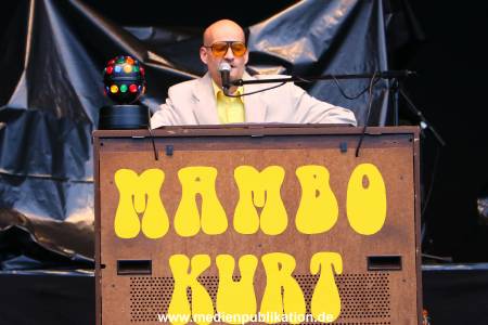 Parkfest 31082014 012