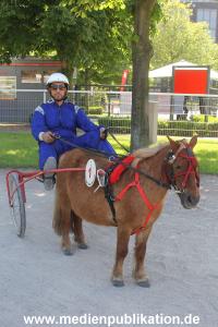 Bild Promirenntag 09062013 597