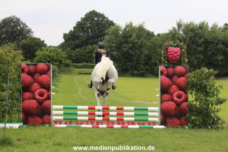 Glantz Himbeeren 2706201 043