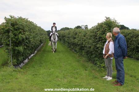 Glantz Himbeeren 2706201 057