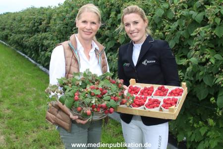 Glantz Himbeeren 2706201 125