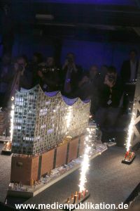 Elbphilharmonie mwl 13112013 024