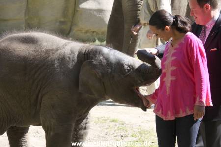 Hagenbeck Mitra 14052009 003