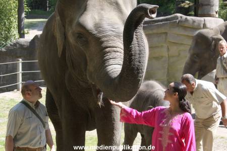 Hagenbeck Mitra 14052009 004