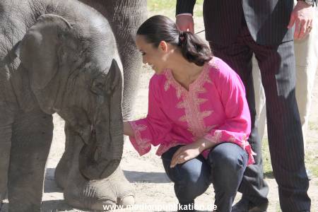 Hagenbeck Mitra 14052009 007