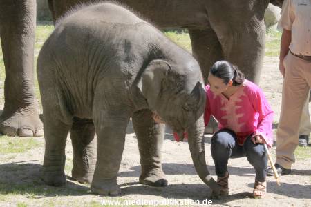 Hagenbeck Mitra 14052009 012