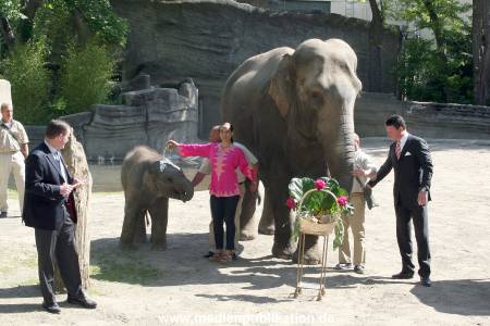 Hagenbeck Mitra 14052009 028