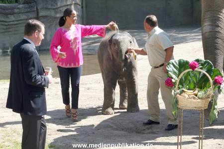 Hagenbeck Mitra 14052009 029