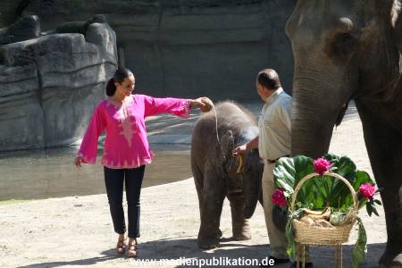 Hagenbeck Mitra 14052009 030