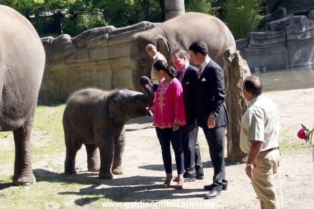 Hagenbeck Mitra 14052009 033