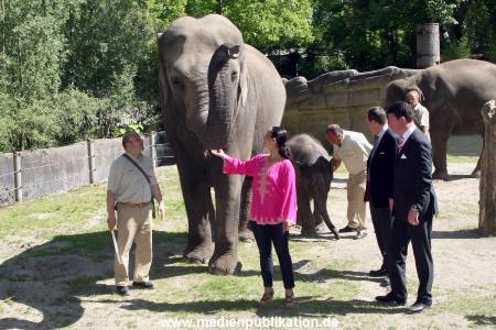 Hagenbeck Mitra 14052009 034