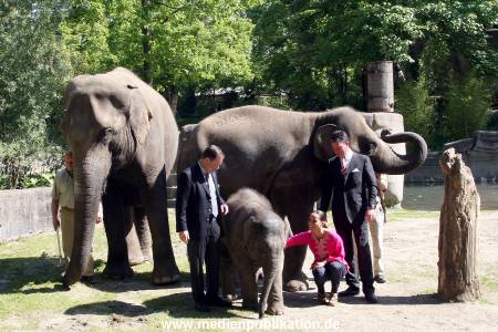 Hagenbeck Mitra 14052009 036