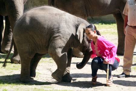 Hagenbeck Mitra 14052009 040