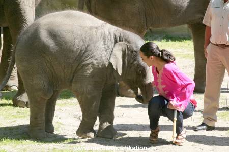 Hagenbeck Mitra 14052009 041