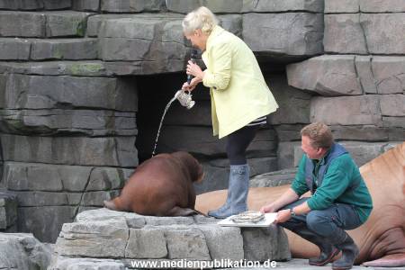Hagenbeck Ina Mueller 01102014 004
