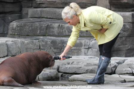 Hagenbeck Ina Mueller 01102014 034