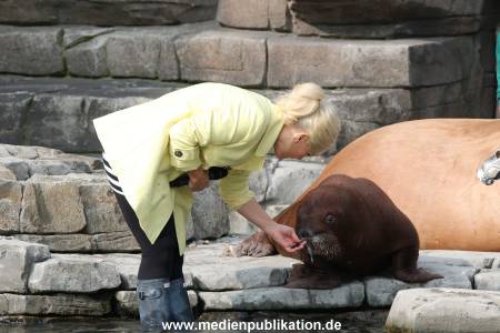 Hagenbeck Ina Mueller 01102014 107