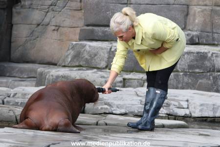 Hagenbeck Ina Mueller 01102014 156