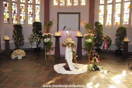 Mues 02042011 001