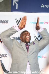 WWE Live 15042015 117