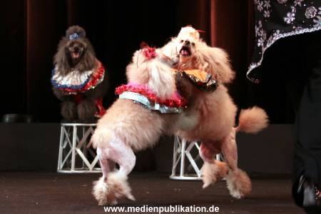 Hansa Theater 12012009 056