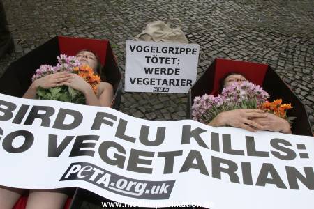 Peta 30052006 008