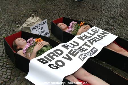 Peta 30052006 014