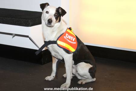 Zufälliges Pressefoto