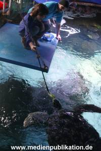 Sealife 01032016 185