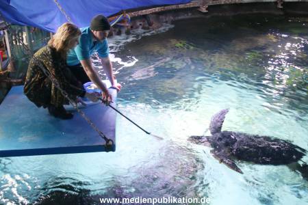 Sealife 01032016 191