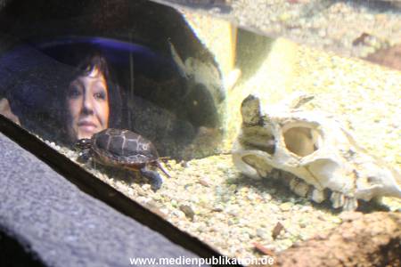 Sealife 01032016 200