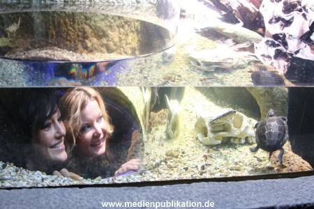 Sealife 01032016 203