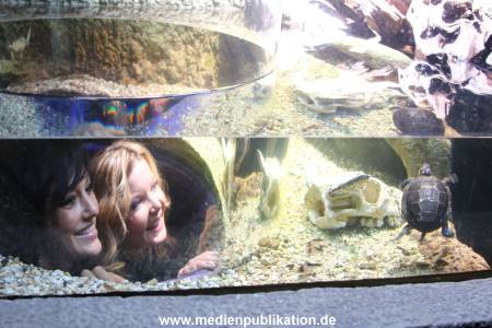 Sealife 01032016 205