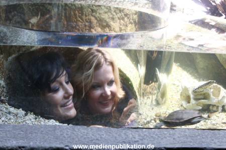 Sealife 01032016 207