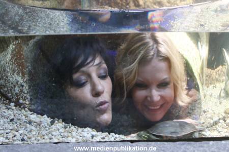 Sealife 01032016 214