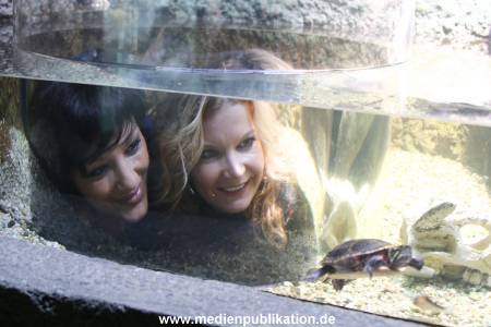 Sealife 01032016 216