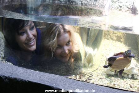 Sealife 01032016 226