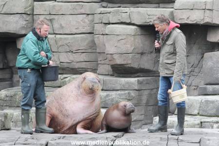 Hagenbeck Pilawa 13102015 003