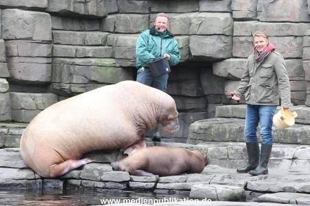 Hagenbeck Pilawa 13102015 017