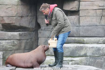 Hagenbeck Pilawa 13102015 029