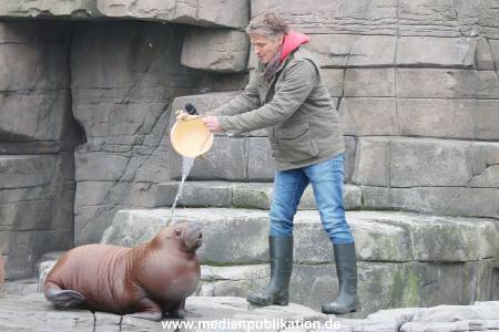 Hagenbeck Pilawa 13102015 036