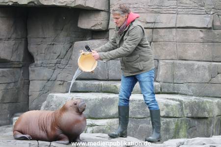 Hagenbeck Pilawa 13102015 038